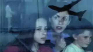 França - Le retour (1996)